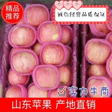 【红富士苹果】产地每天更新价格!代收代发全国货源充足