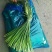 蒜苔精品，大量出库无黄斑，精品加工欢迎实地考察，量大从优