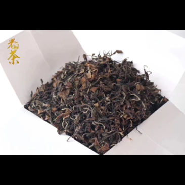 老白茶枣香贡眉白牡丹茶500g散茶礼盒