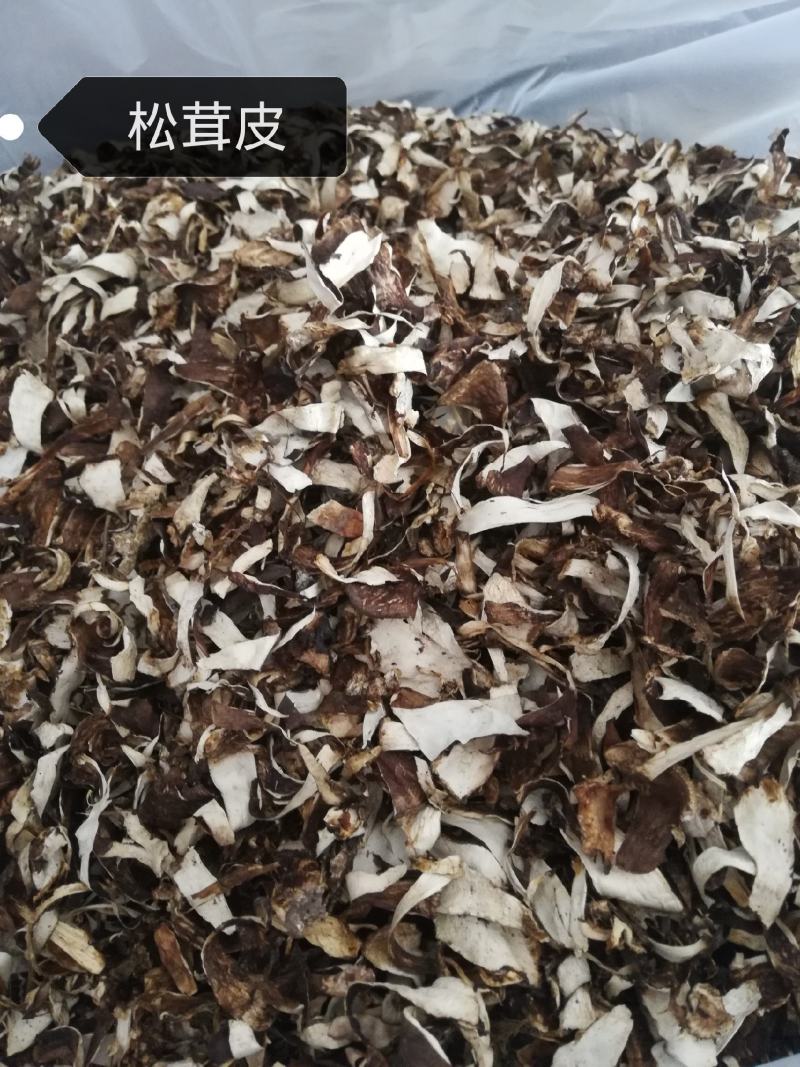 野生松茸皮，已过筛没有土和杂质