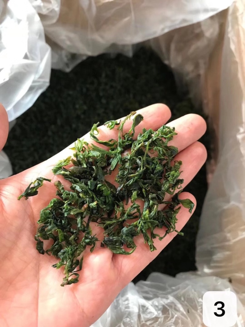 小叶苦丁茶绿茶500克