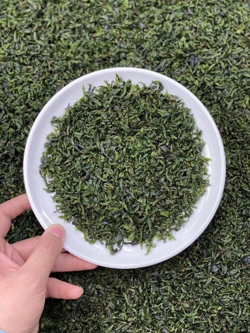 小叶苦丁茶绿茶500克