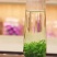 小叶苦丁茶绿茶500克