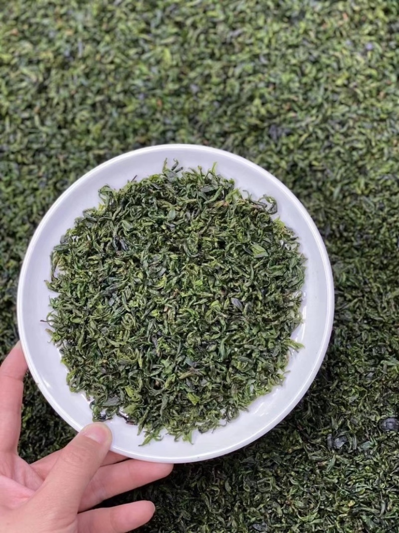 小叶苦丁茶绿茶500克