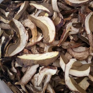 野生黄牛肝菌香根菌，货质量好与图片一致