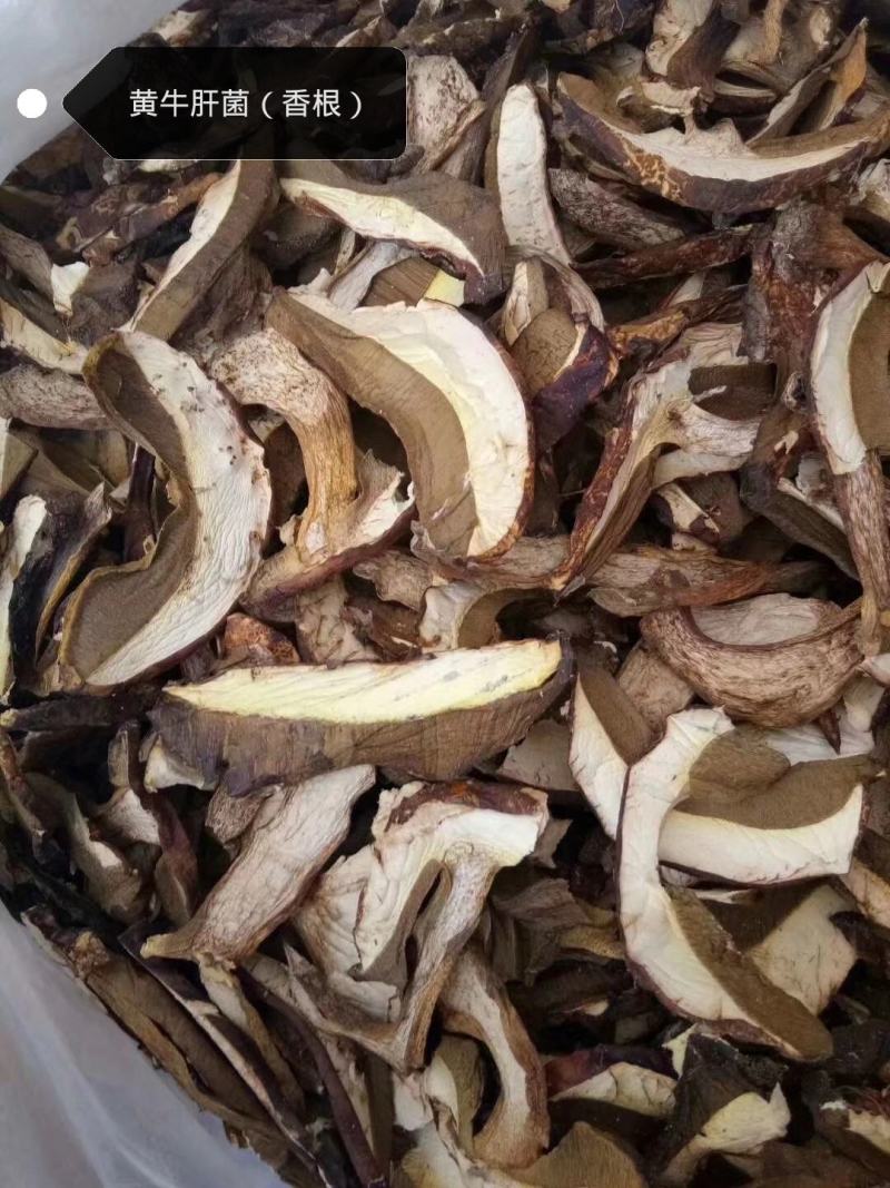 野生黄牛肝菌香根菌，货质量好与图片一致