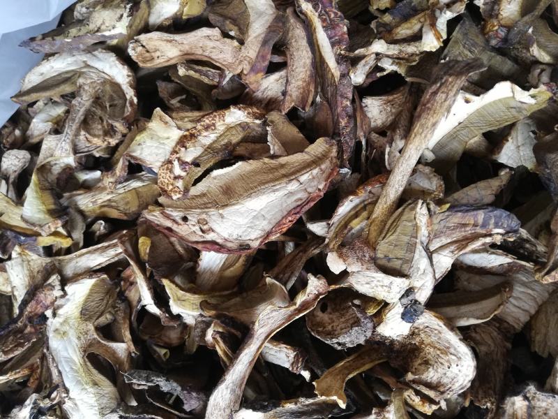 野生黄牛肝菌香根菌，货质量好与图片一致