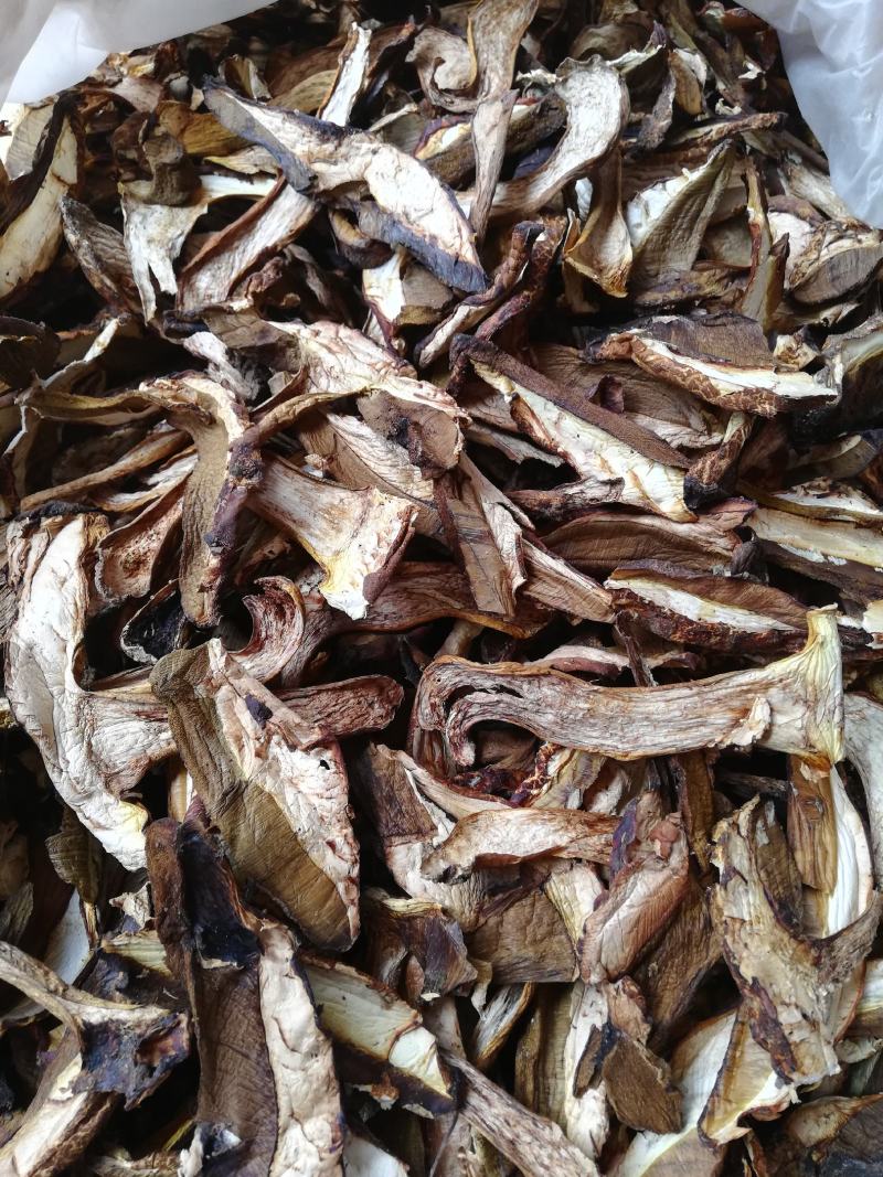 野生黄牛肝菌香根菌，货质量好与图片一致