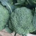 湖北万亩西兰花绿花菜花供应批发商+社区团购+工厂货