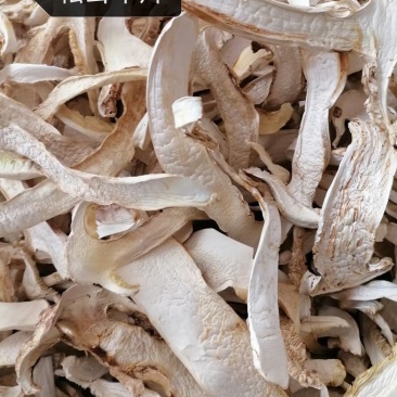 精品松茸干片，货质量好与图片一致