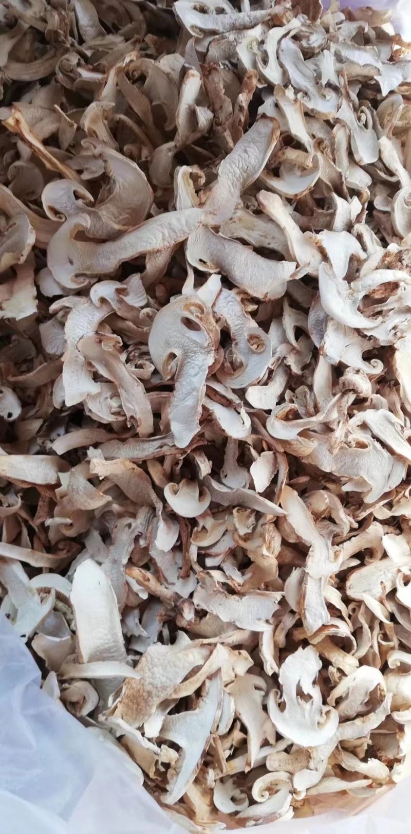 精品松茸干片，货质量好与图片一致