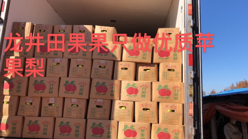 苹果梨子包邮东北延边延吉苹果梨冻梨特级梨龙井三合梨