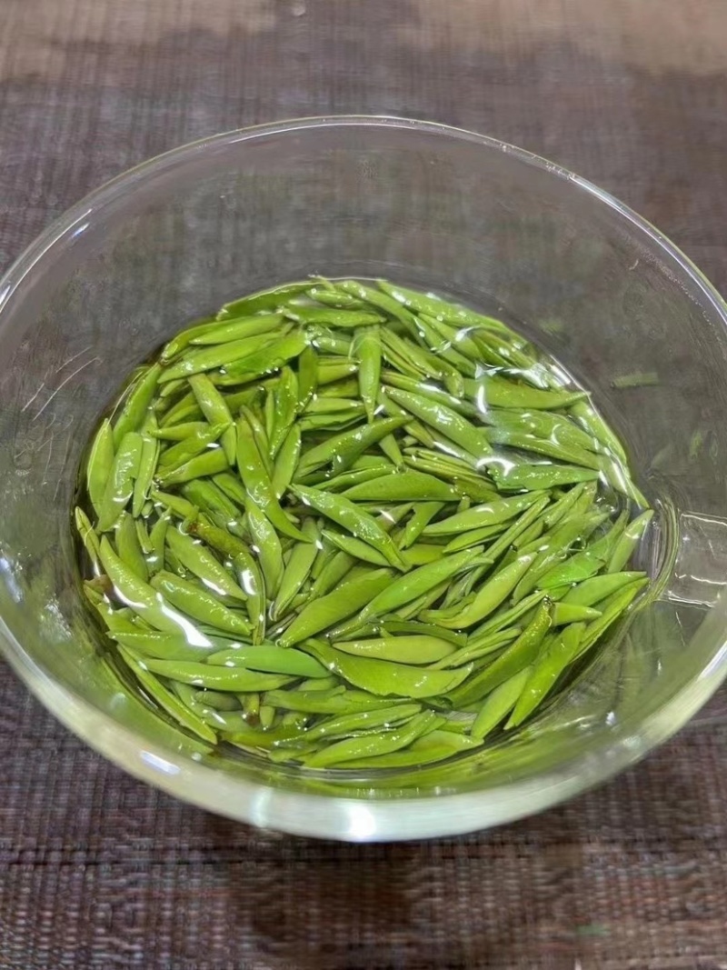雀舌绿茶新茶嫩芽春茶明前清香500克