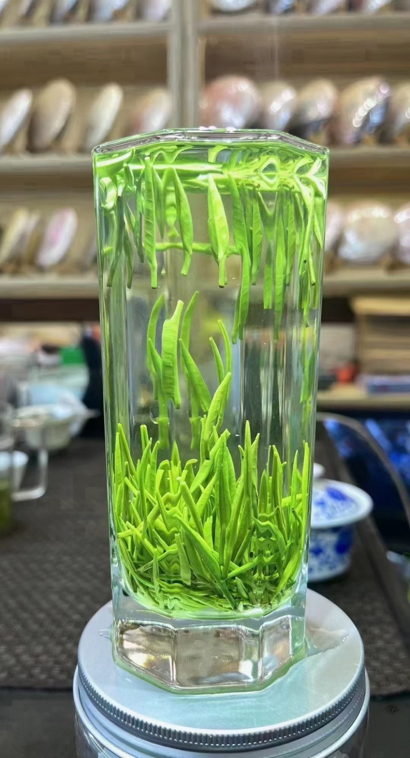 雀舌绿茶新茶嫩芽春茶明前清香500克