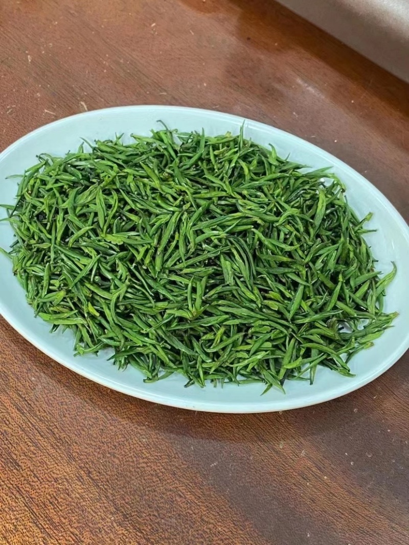 雀舌绿茶新茶嫩芽春茶明前清香500克