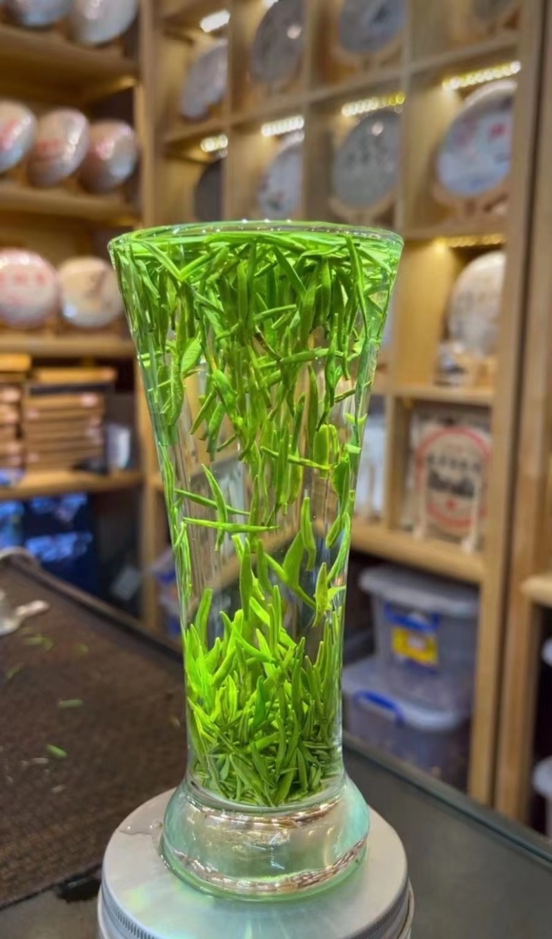 雀舌绿茶新茶嫩芽春茶明前清香500克