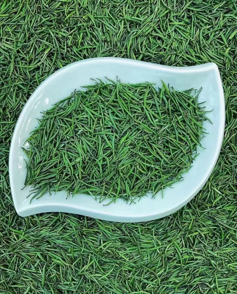 雀舌绿茶新茶嫩芽春茶明前清香500克