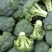 湖北万亩西兰花绿花菜花供应批发商+社区团购+工厂货