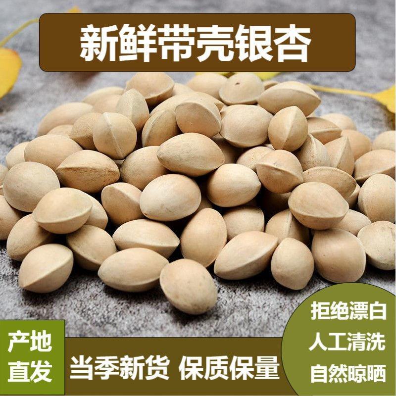 【白果新货】无硫银杏果白果不漂白生白果多规格可选包邮
