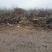 梨木，梨木锯末，菌类专用大量供应