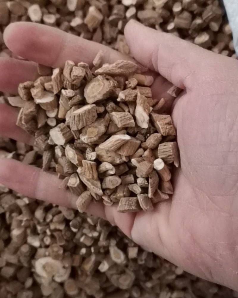 板蓝根，优质板蓝根阻，板蓝根片，中药批发板蓝根