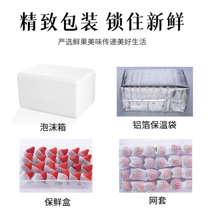丹东99草莓奶油草莓红颜草莓一件代发市场批发电扇