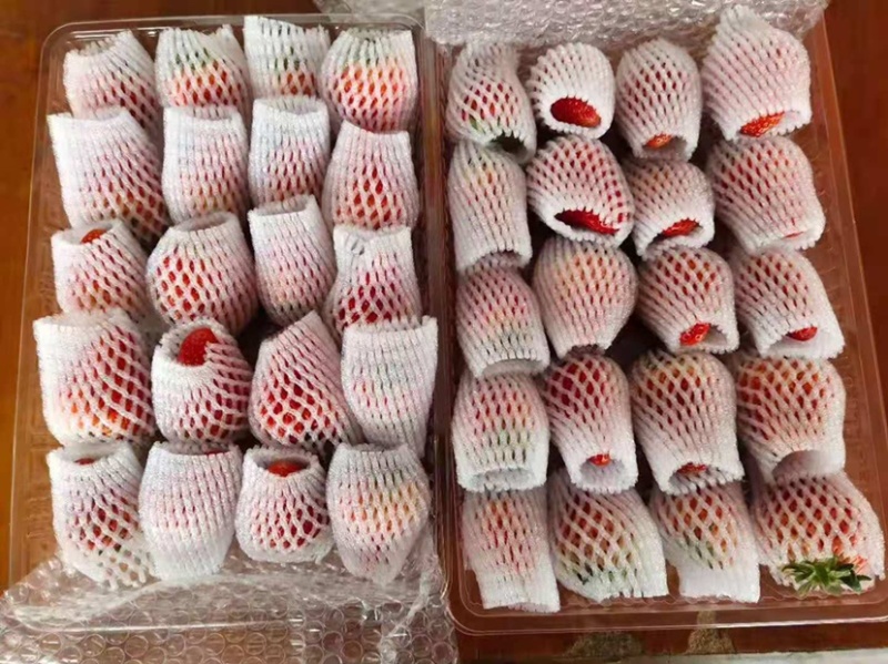 丹东99草莓奶油草莓红颜草莓一件代发市场批发电扇