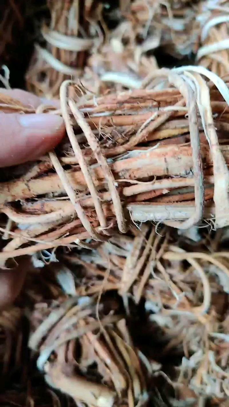 河源野生五指毛桃，干度好，香味浓郁，请直接电话联系