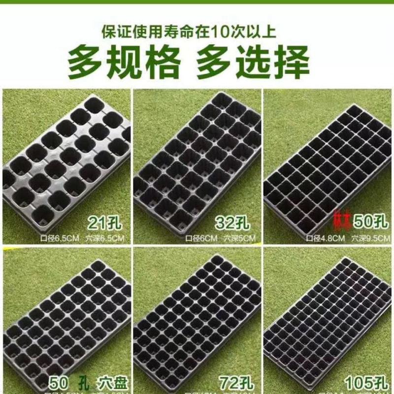 15/21/32/50孔高脚林木育苗盘草莓樱桃菠萝穴盘
