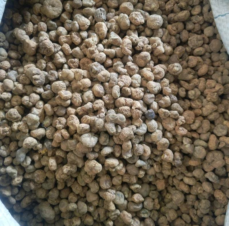 元胡个振兴药材批发供应元胡个规格齐全大货批发