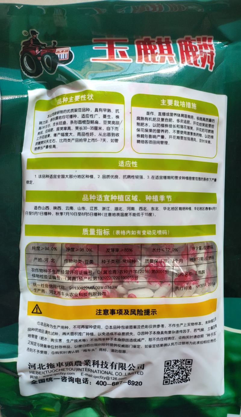 早熟无筋架豆种子九粒白种子老来少种子嫩绿色白不老种子