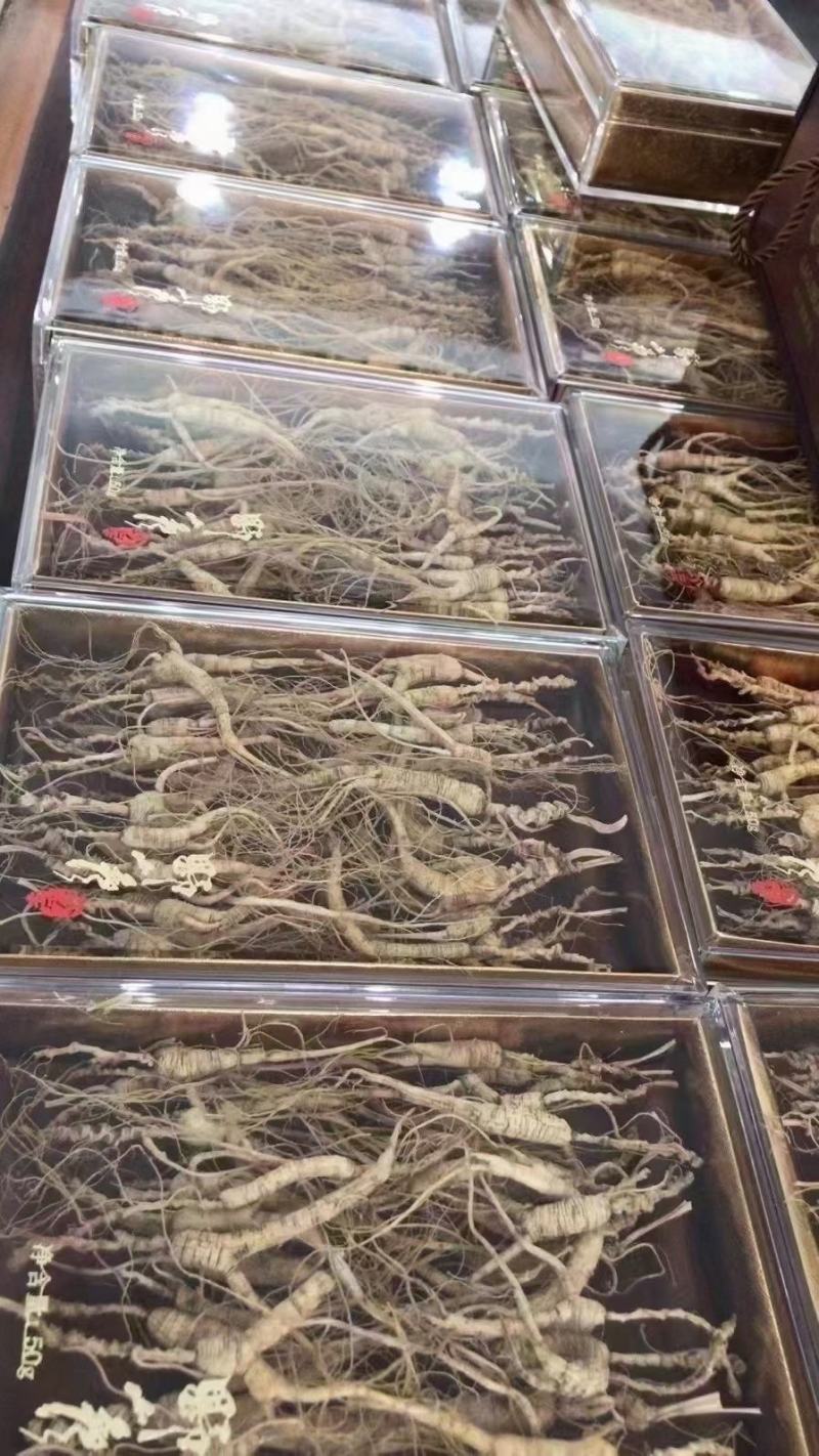林下山参林下籽参正品高年头野播无硫干品一盒50克