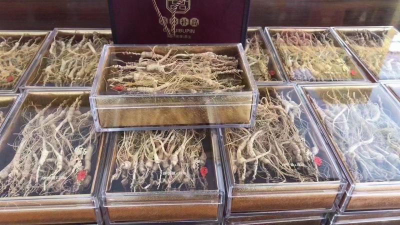 林下山参林下籽参正品高年头野播无硫干品一盒50克