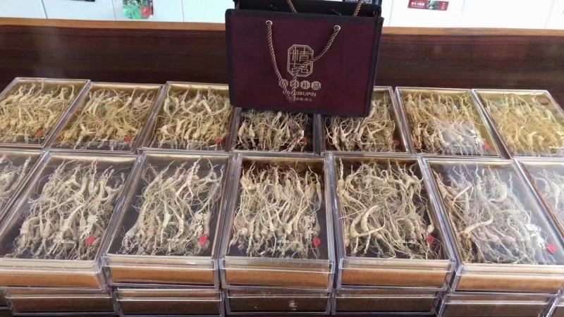林下山参林下籽参正品高年头野播无硫干品一盒50克