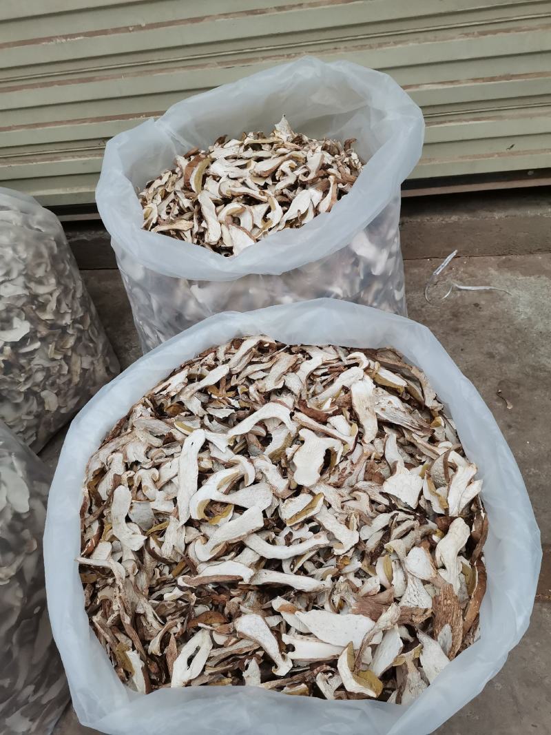 美味牛肝菌，白牛肝菌，云南野生菌，天然绿色食品，产地批发