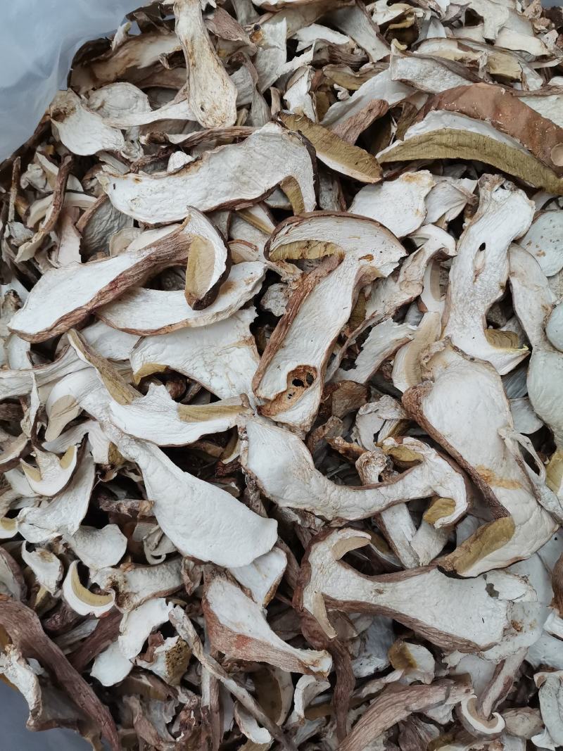 美味牛肝菌，白牛肝菌，云南野生菌，天然绿色食品，产地批发