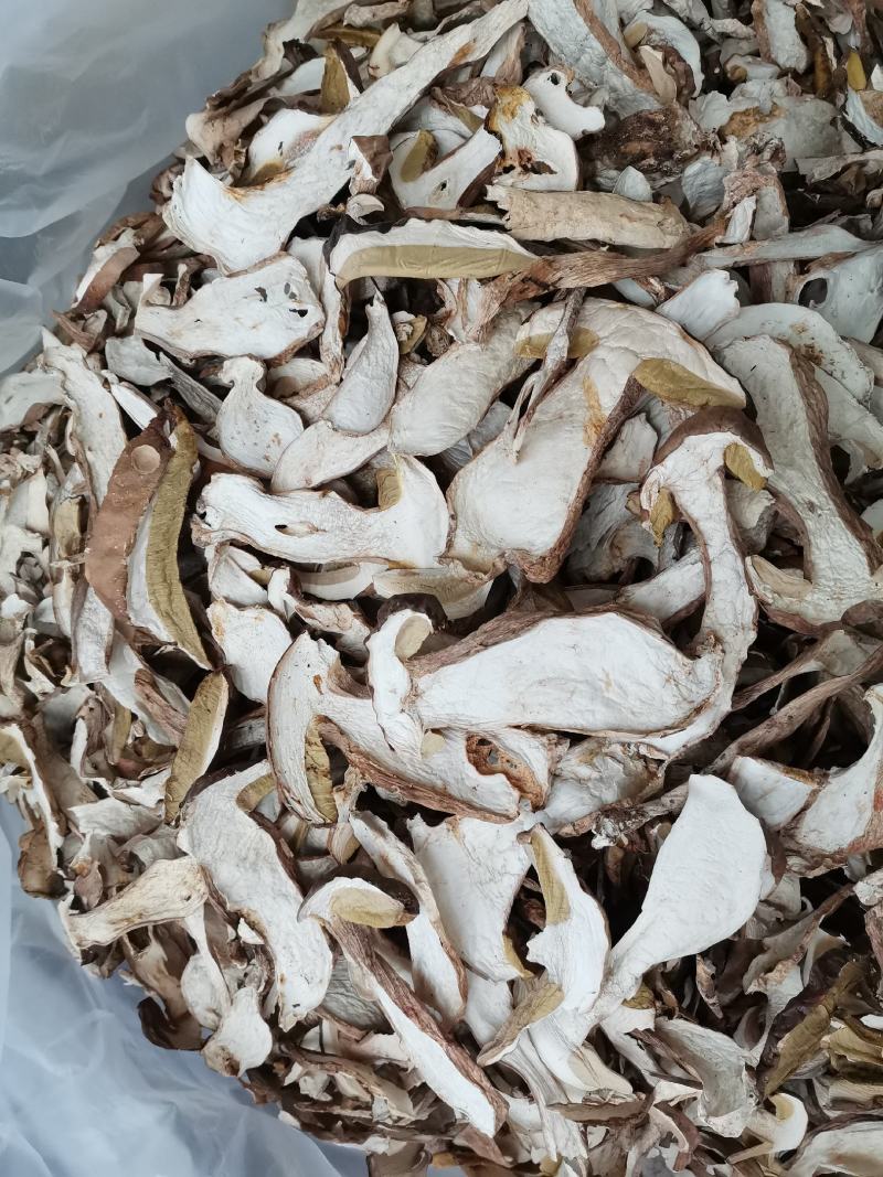 美味牛肝菌，白牛肝菌，云南野生菌，天然绿色食品，产地批发