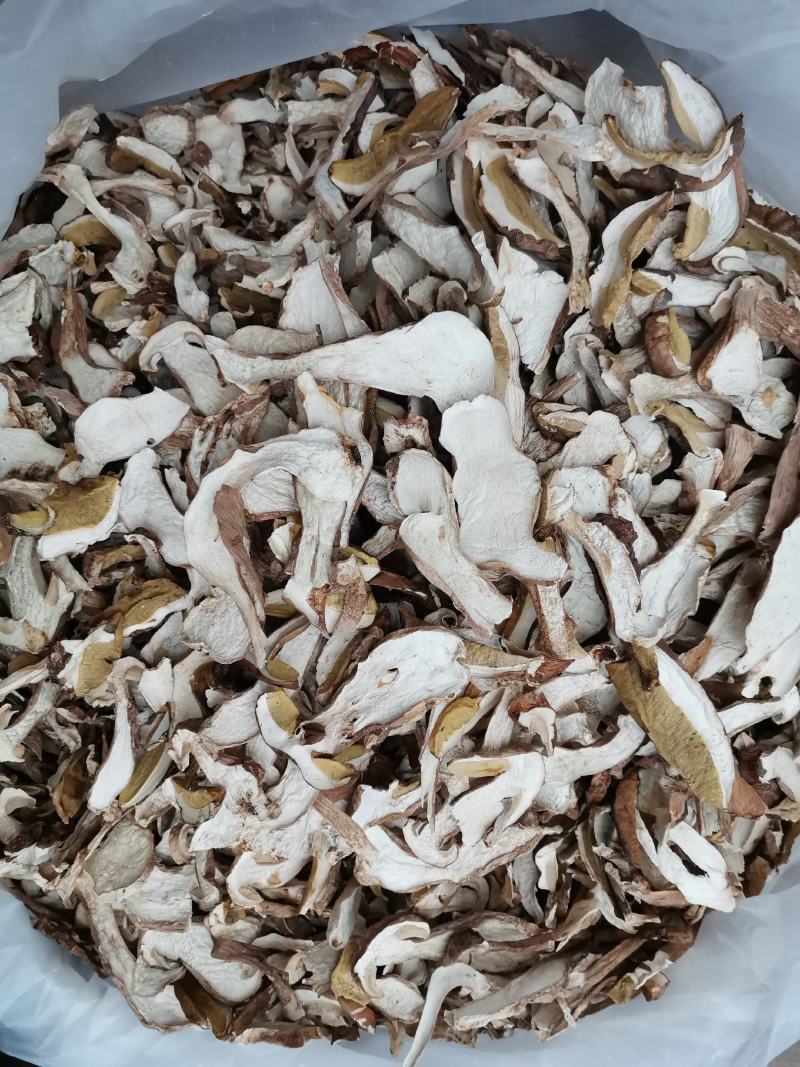 美味牛肝菌，白牛肝菌，云南野生菌，天然绿色食品，产地批发