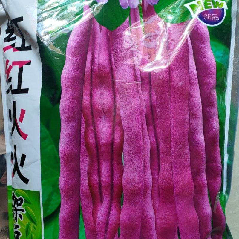 5装红架豆种子老山豆种子红芸豆种子红四季豆种子