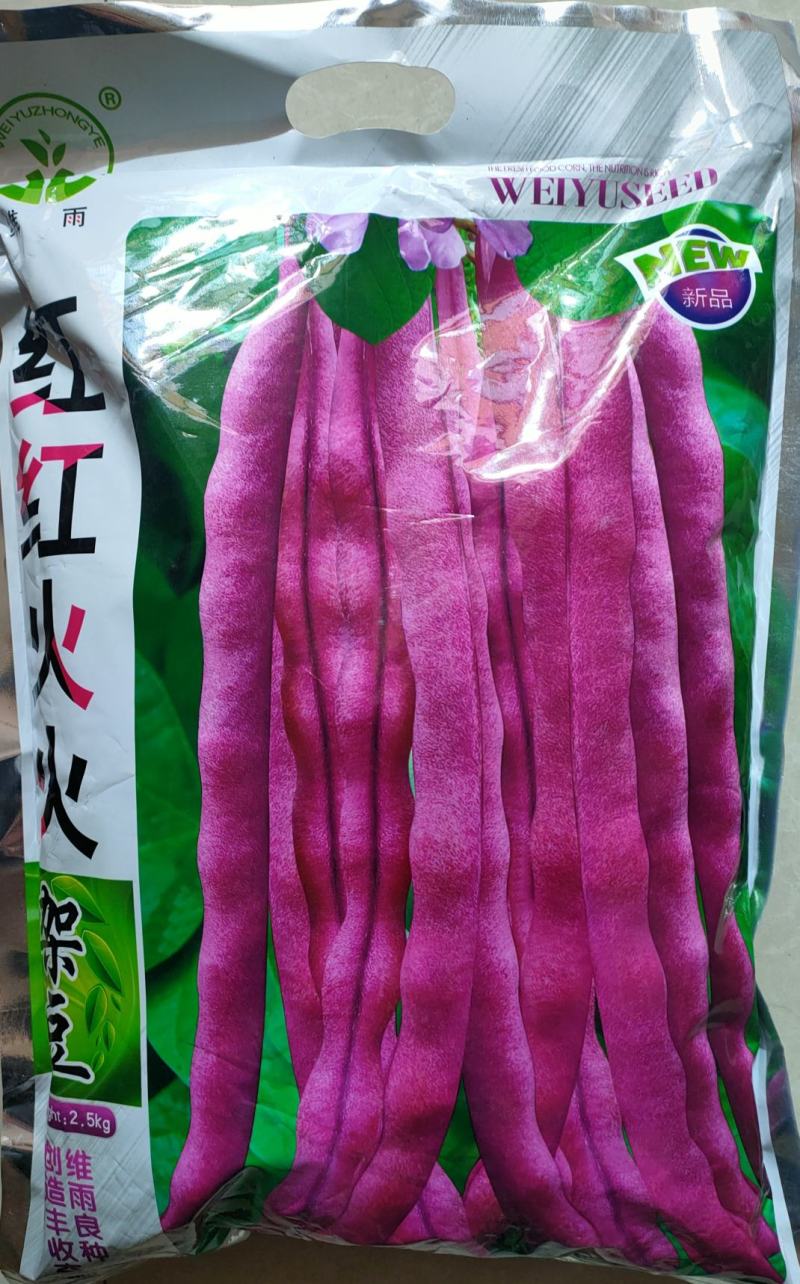5装红架豆种子老山豆种子红芸豆种子红四季豆种子