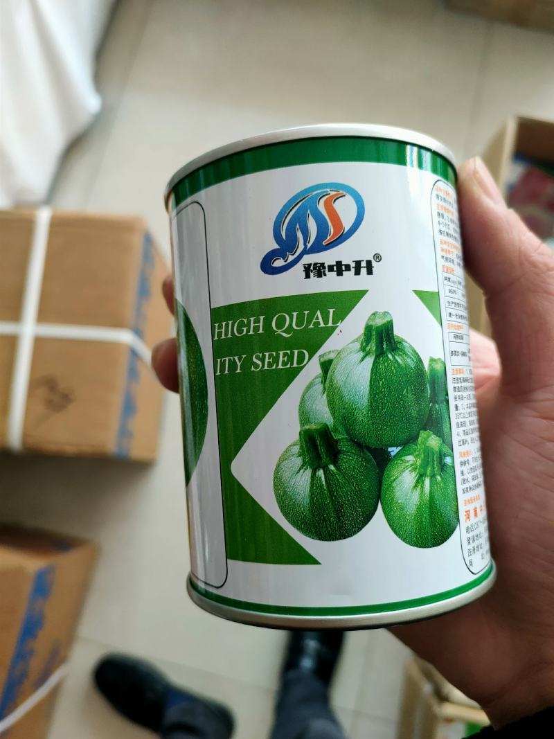 圆形嫩绿嫩黄抗病油亮圆葫种子三月瓜八月瓜西葫芦种子