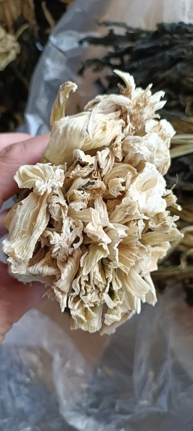 菜干脱水白菜白菜干白菜梅菜干产地直销干菜