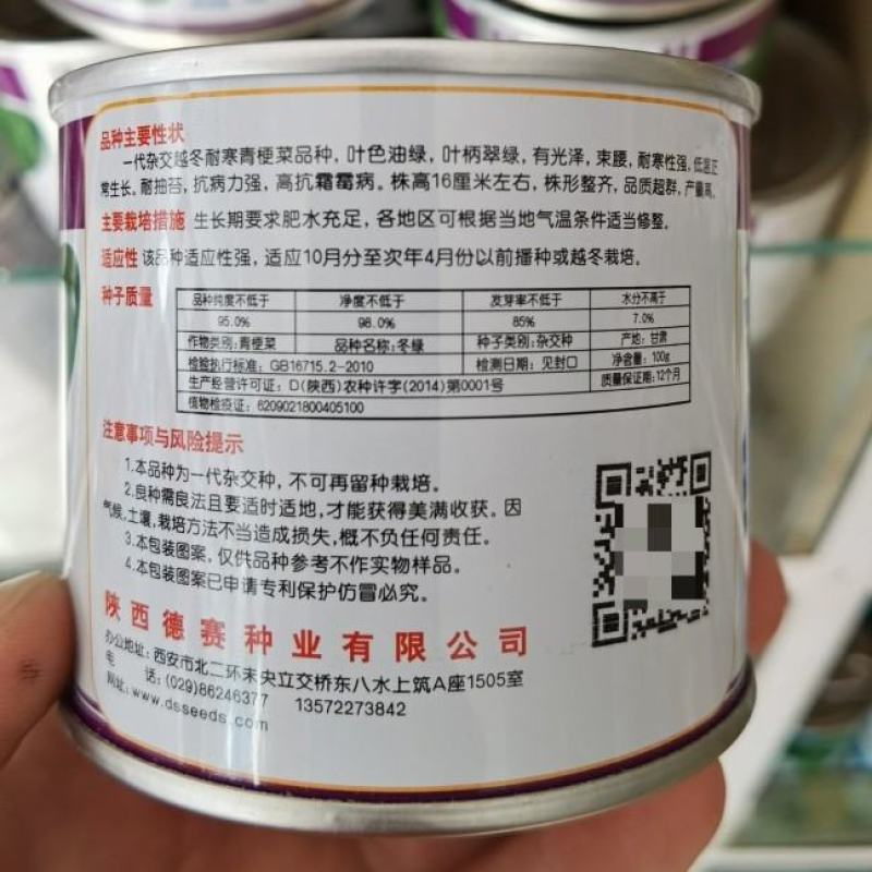 冬绿青梗菜种子，耐寒，耐抽苔，可露地越冬栽培