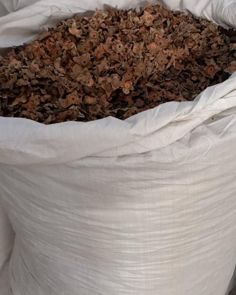 柿蒂，中药材柿蒂新货质量保证经营各种中药材欢迎咨询选购