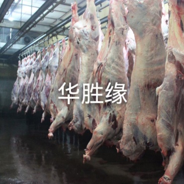 牛肉