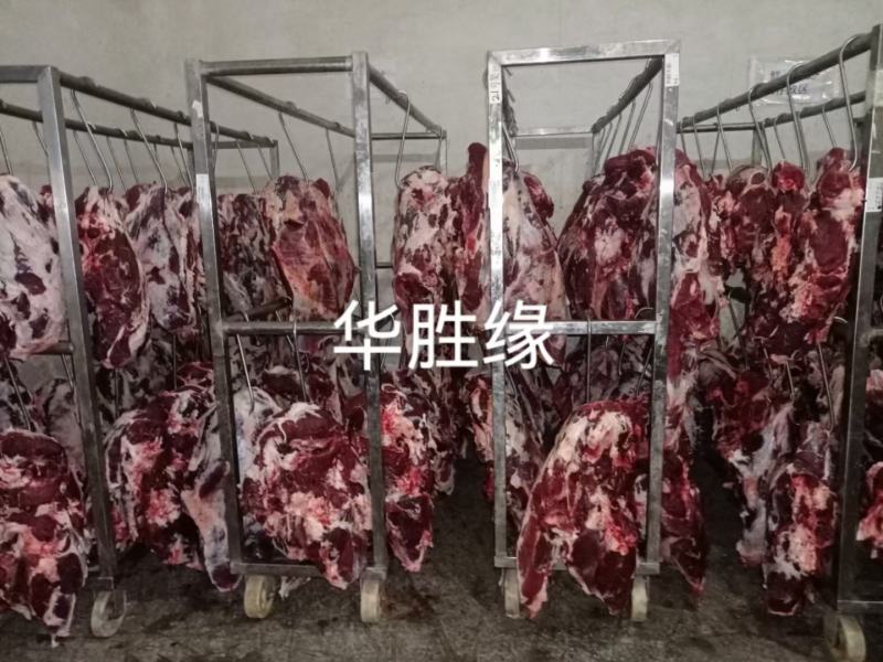 牛肉