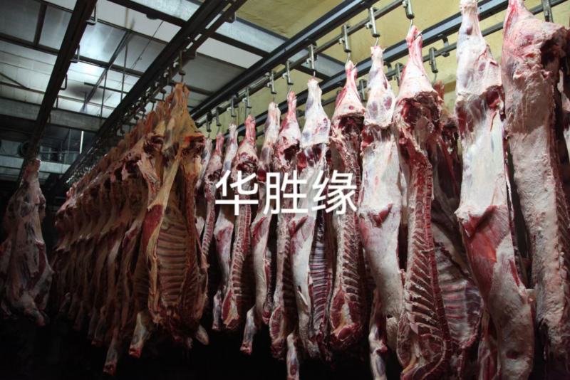 牛肉