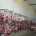牛肉
