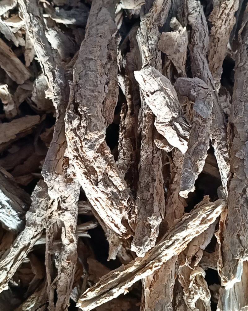 地骨皮，精选地骨皮干净无杂质量保证！二斤起皮不包油！