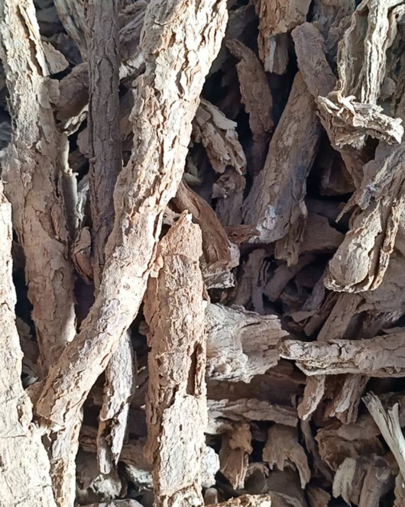 地骨皮，精选地骨皮干净无杂质量保证！二斤起皮不包油！
